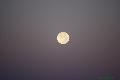 Vollmond • <a style="font-size:0.8em;" href="http://www.flickr.com/photos/68599318@N08/9596039777/" target="_blank">View on Flickr</a>