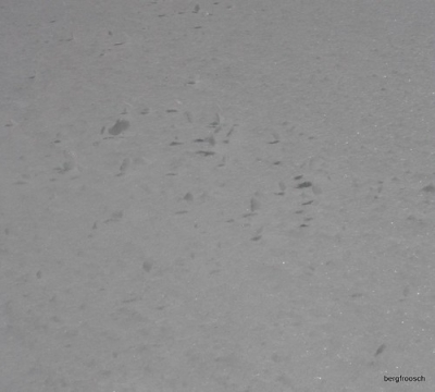 Schnee • <a style="font-size:0.8em;" href="http://www.flickr.com/photos/68599318@N08/6234159073/" target="_blank">View on Flickr</a>